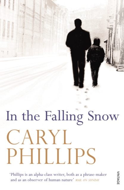In the Falling Snow, Paperback / softback Book