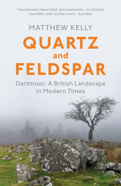 Quartz and Feldspar : Dartmoor - A British Landscape in Modern Times, Paperback / softback Book
