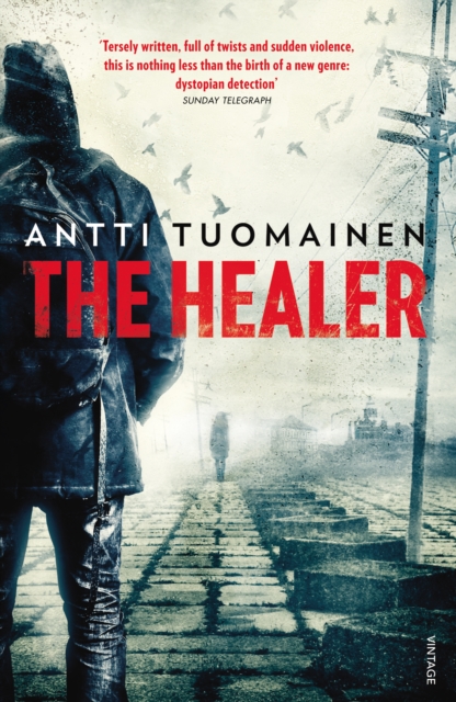 The Healer, Paperback / softback Book