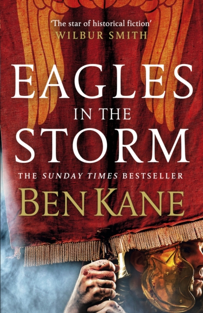 Eagles in the Storm, Paperback / softback Book