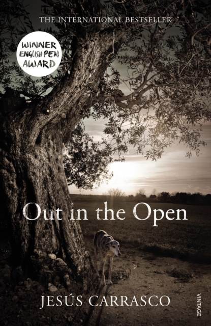 Out in the Open, Paperback / softback Book