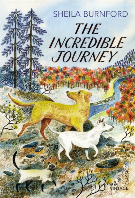 The Incredible Journey, Paperback / softback Book