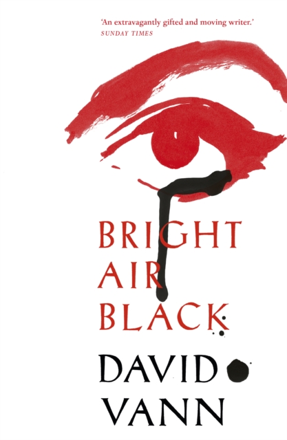 Bright Air Black, Paperback / softback Book