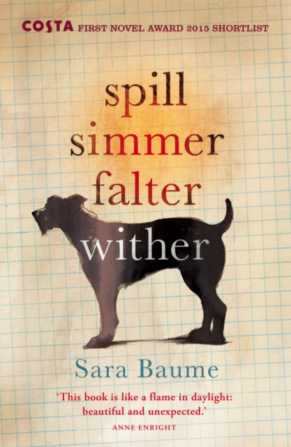 Spill Simmer Falter Wither, Paperback / softback Book