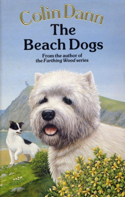 The Beach Dogs, Paperback / softback Book