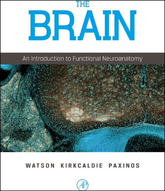 The Brain : An Introduction to Functional Neuroanatomy, Hardback Book