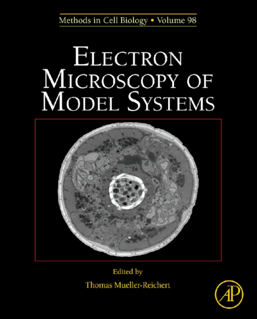 Electron Microscopy of Model Systems : Volume 96, Hardback Book