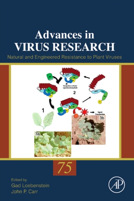 Natural and Engineered Resistance to Plant Viruses, EPUB eBook