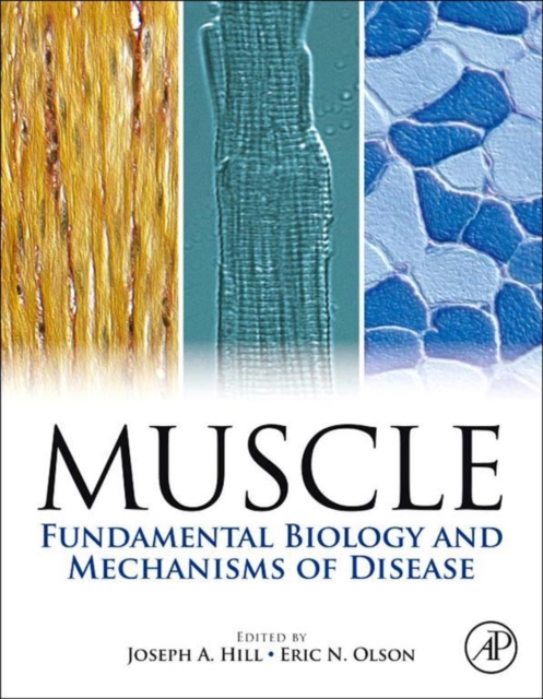 Muscle 2-Volume Set : Fundamental Biology and Mechanisms of Disease, EPUB eBook