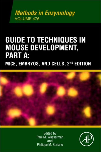 Guide to Techniques in Mouse Development, Part A : Guide to Techniques in Mouse Development, Part A Part A, Paperback Book