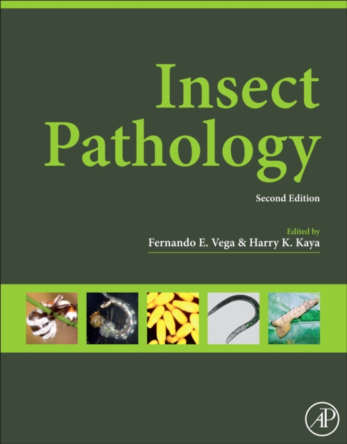 Insect Pathology, PDF eBook