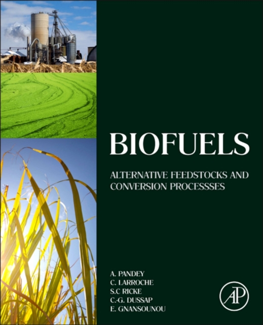 Biofuels : Alternative Feedstocks and Conversion Processes, EPUB eBook