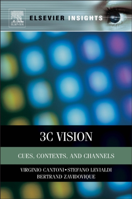 3C Vision : Cues, Context and Channels, EPUB eBook
