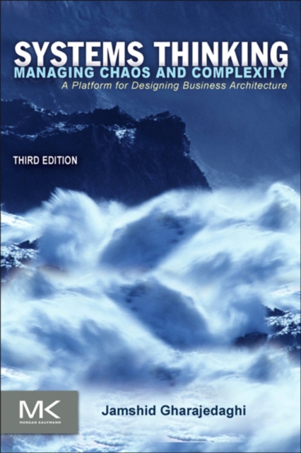 Systems Thinking : Managing Chaos and Complexity: A Platform for Designing Business Architecture, EPUB eBook