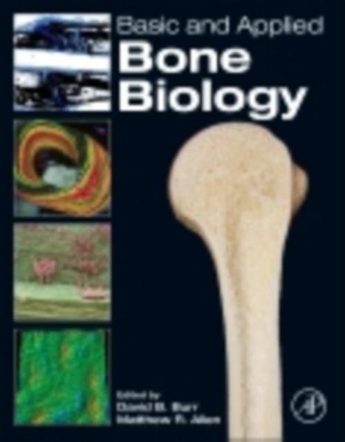 Basic and Applied Bone Biology, EPUB eBook