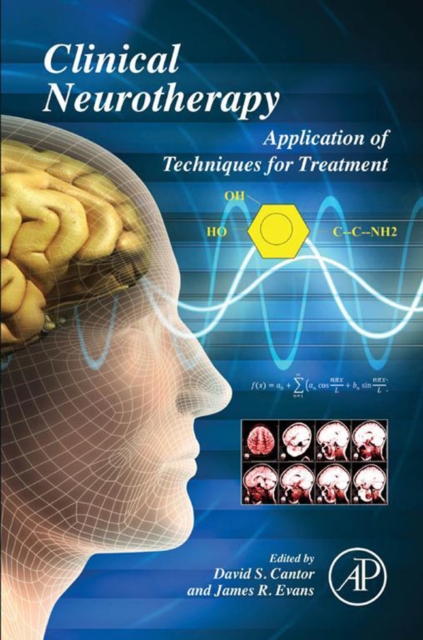 Clinical Neurotherapy : Application of Techniques for Treatment, EPUB eBook