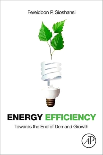 Energy Efficiency : Towards the End of Demand Growth, EPUB eBook
