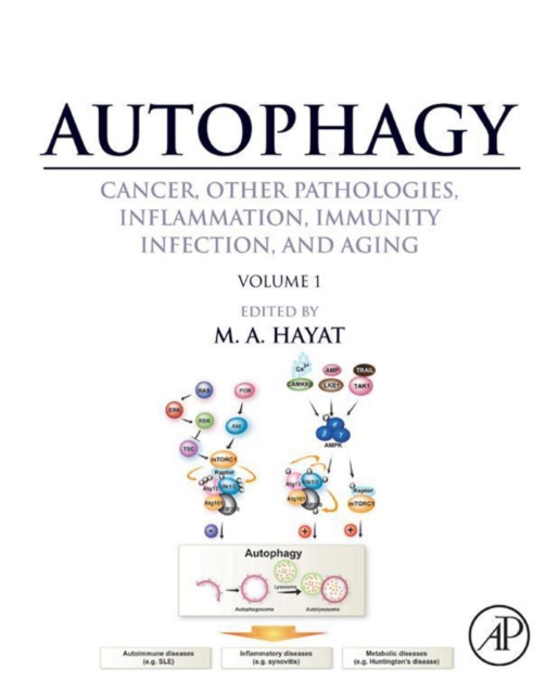 Autophagy: Cancer, Other Pathologies, Inflammation, Immunity, Infection, and Aging : Volume 1 - Molecular Mechanisms, EPUB eBook
