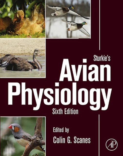 Sturkie's Avian Physiology, EPUB eBook