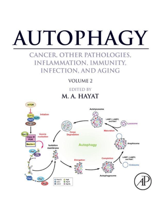 Autophagy: Cancer, Other Pathologies, Inflammation, Immunity, Infection, and Aging : Volume 2 - Role in General Diseases, EPUB eBook