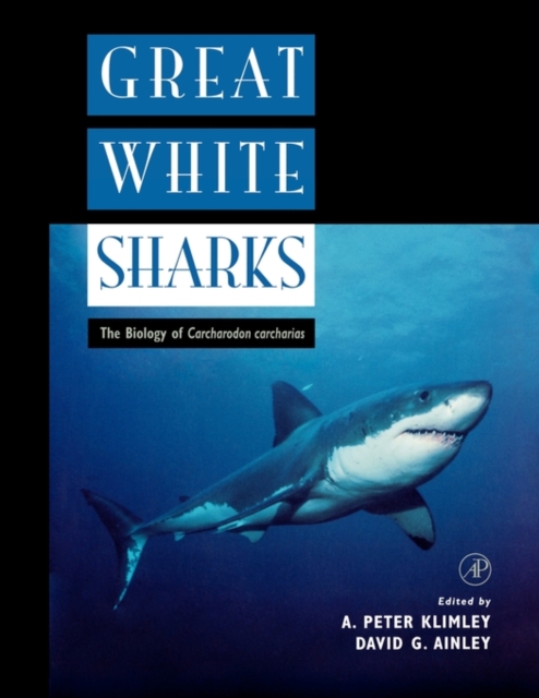 Great White Sharks : The Biology of Carcharodon carcharias, Paperback / softback Book