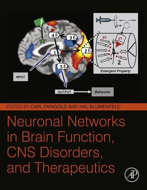 Neuronal Networks in Brain Function, CNS Disorders, and Therapeutics, Hardback Book