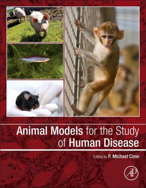 Animal Models for the Study of Human Disease, EPUB eBook