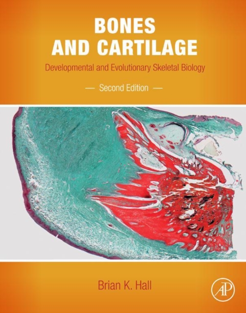 Bones and Cartilage : Developmental and Evolutionary Skeletal Biology, EPUB eBook
