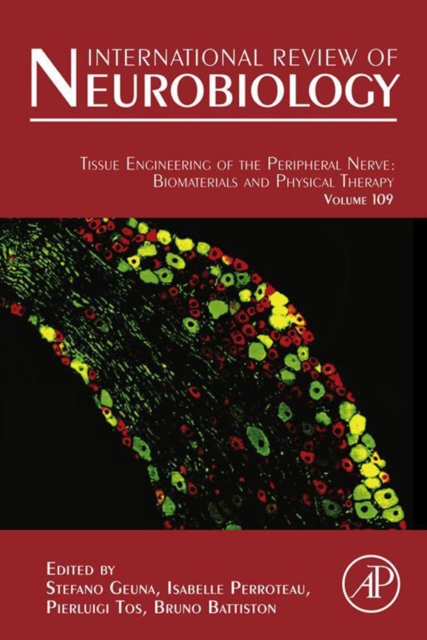 Tissue Engineering of the Peripheral Nerve: Biomaterials and Physical Therapy, EPUB eBook