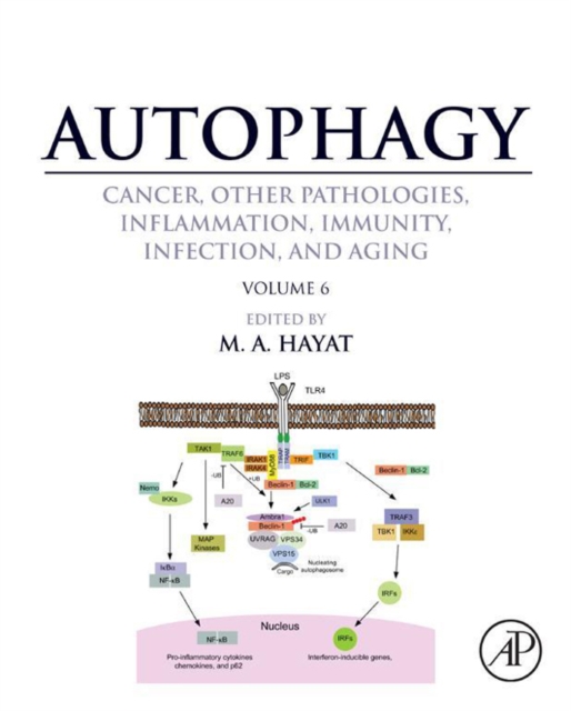 Autophagy: Cancer, Other Pathologies, Inflammation, Immunity, Infection, and Aging : Volume 6- Regulation of Autophagy and Selective Autophagy, EPUB eBook