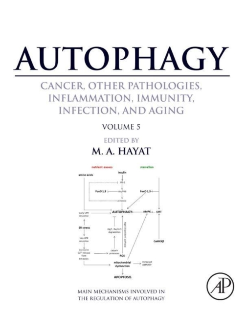 Autophagy: Cancer, Other Pathologies, Inflammation, Immunity, Infection, and Aging : Volume 5 - Role in Human Diseases, EPUB eBook