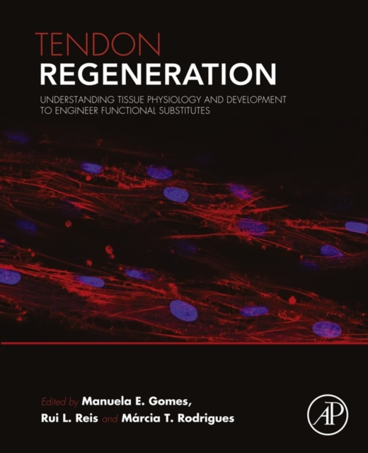 Tendon Regeneration : Understanding Tissue Physiology and Development to Engineer Functional Substitutes, EPUB eBook