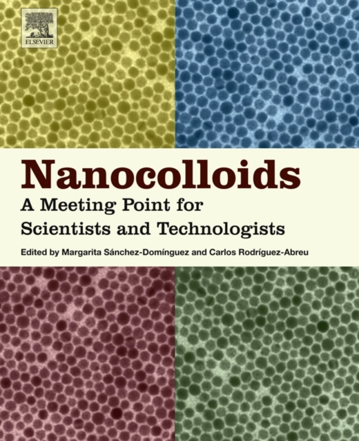Nanocolloids : A Meeting Point for Scientists and Technologists, EPUB eBook