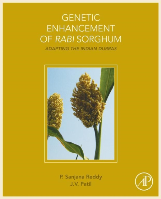 Genetic Enhancement of Rabi Sorghum : Adapting the Indian Durras, EPUB eBook