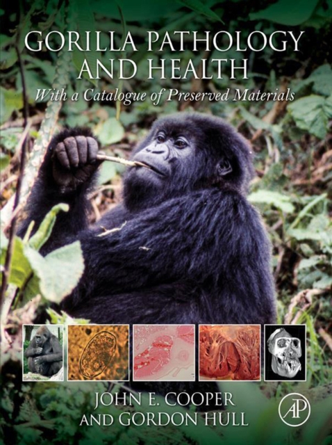 Gorilla Pathology and Health : With a Catalogue of Preserved Materials, EPUB eBook