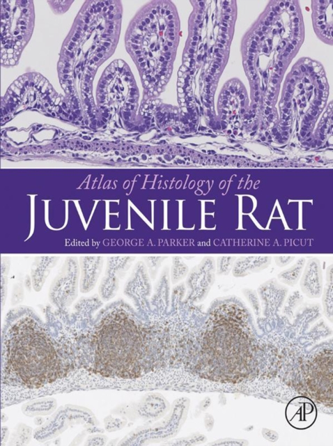 Atlas of Histology of the Juvenile Rat, EPUB eBook