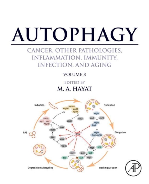 Autophagy: Cancer, Other Pathologies, Inflammation, Immunity, Infection, and Aging : Volume 8- Human Diseases, EPUB eBook