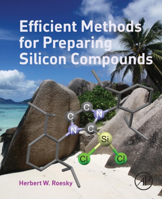 Efficient Methods for Preparing Silicon Compounds, Paperback / softback Book