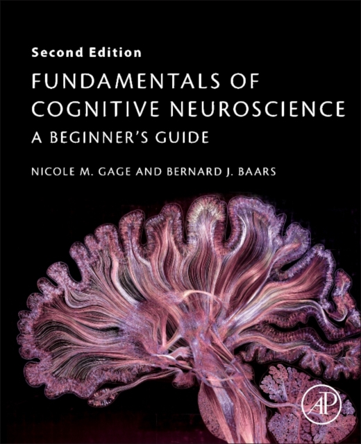 Fundamentals of Cognitive Neuroscience : A Beginner's Guide, Paperback / softback Book