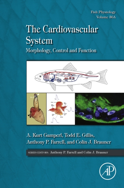 The Cardiovascular System : Morphology, Control and Function, EPUB eBook