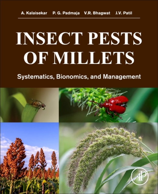Insect Pests of Millets : Systematics, Bionomics, and Management, Paperback / softback Book
