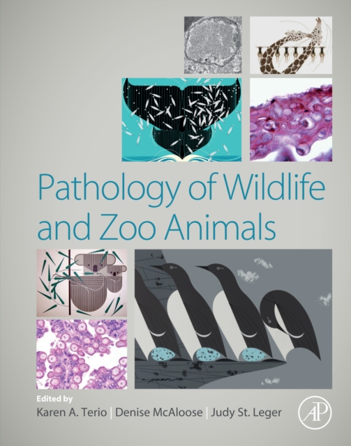 Pathology of Wildlife and Zoo Animals, EPUB eBook