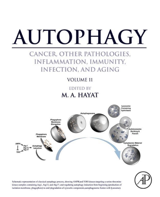 Autophagy: Cancer, Other Pathologies, Inflammation, Immunity, Infection, and Aging, EPUB eBook