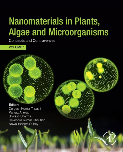 Nanomaterials in Plants, Algae, and Microorganisms : Concepts and Controversies: Volume 1, Paperback / softback Book