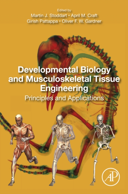 Developmental Biology and Musculoskeletal Tissue Engineering : Principles and Applications, EPUB eBook