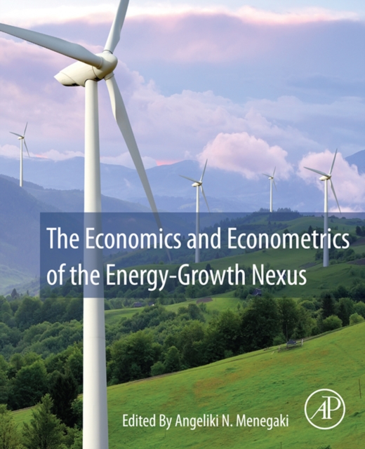 The Economics and Econometrics of the Energy-Growth Nexus, EPUB eBook