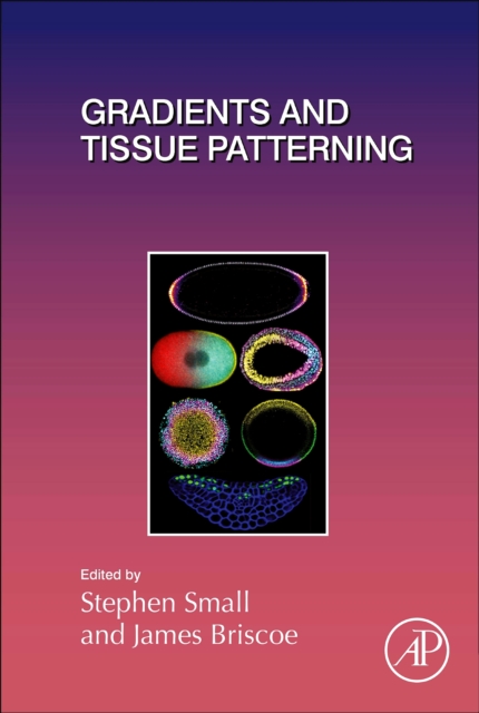 Gradients and Tissue Patterning, EPUB eBook