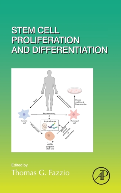 Stem Cell Proliferation and Differentiation : Volume 138, Hardback Book