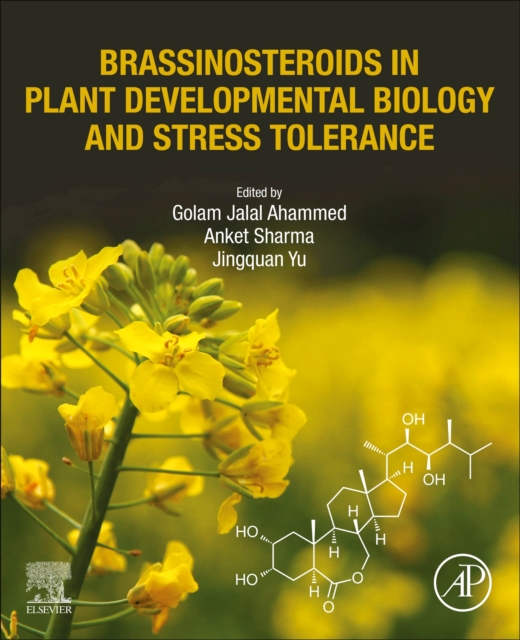 Brassinosteroids in Plant Developmental Biology and Stress Tolerance, Paperback / softback Book