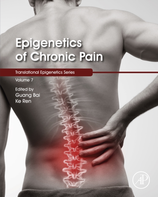Epigenetics of Chronic Pain, EPUB eBook